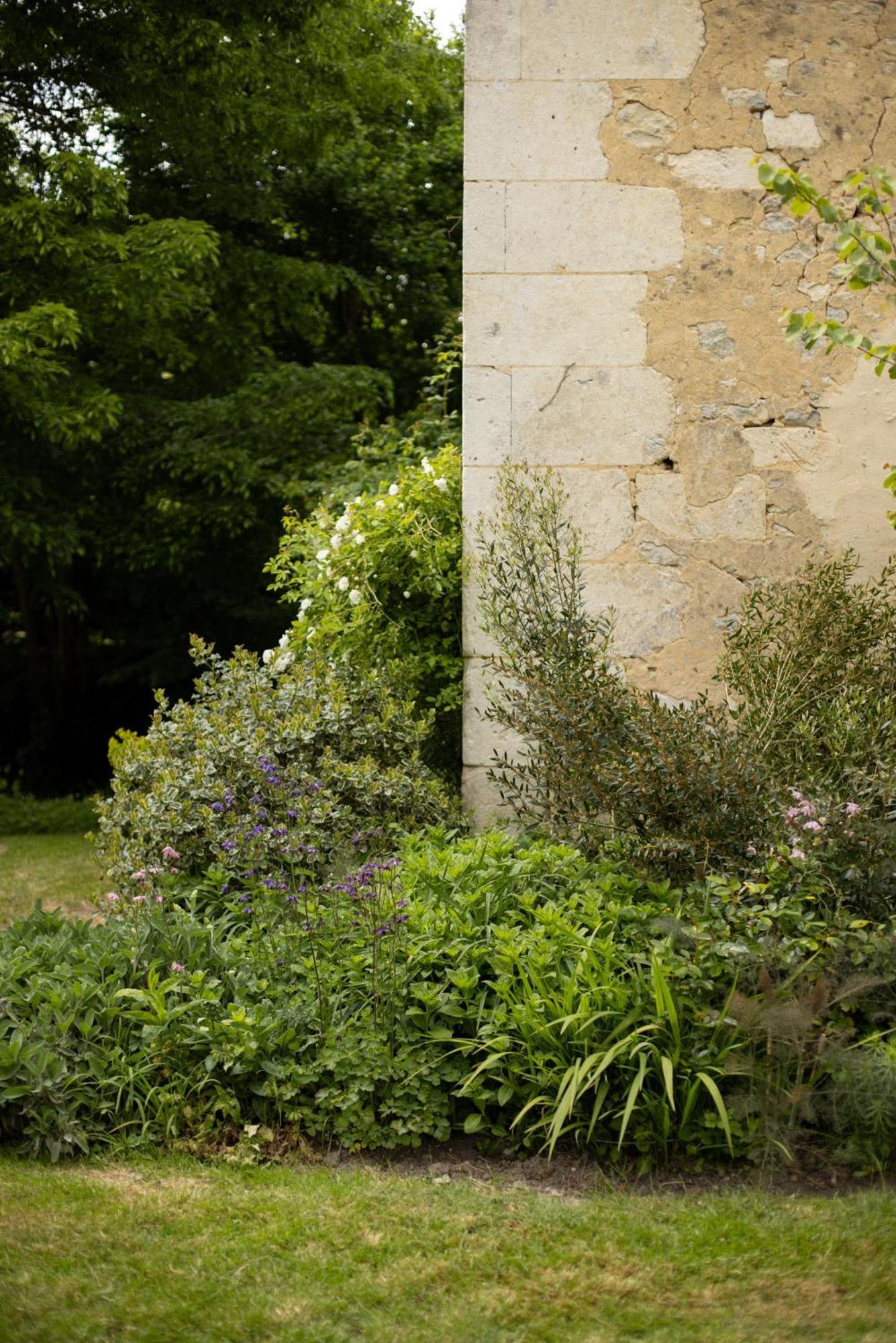 Le Manoir Du Plessis Hotel Dance  ภายนอก รูปภาพ