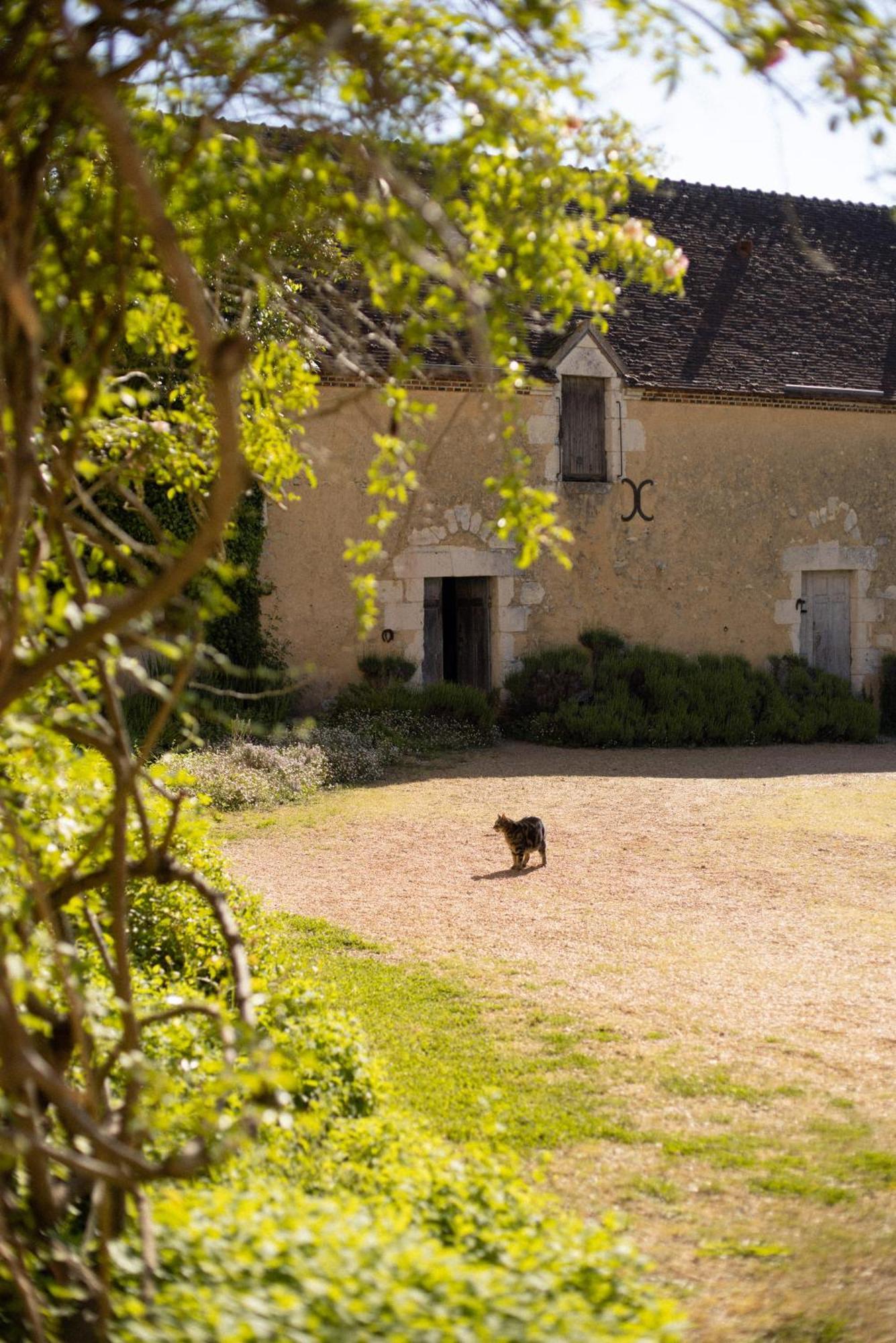 Le Manoir Du Plessis Hotel Dance  ภายนอก รูปภาพ
