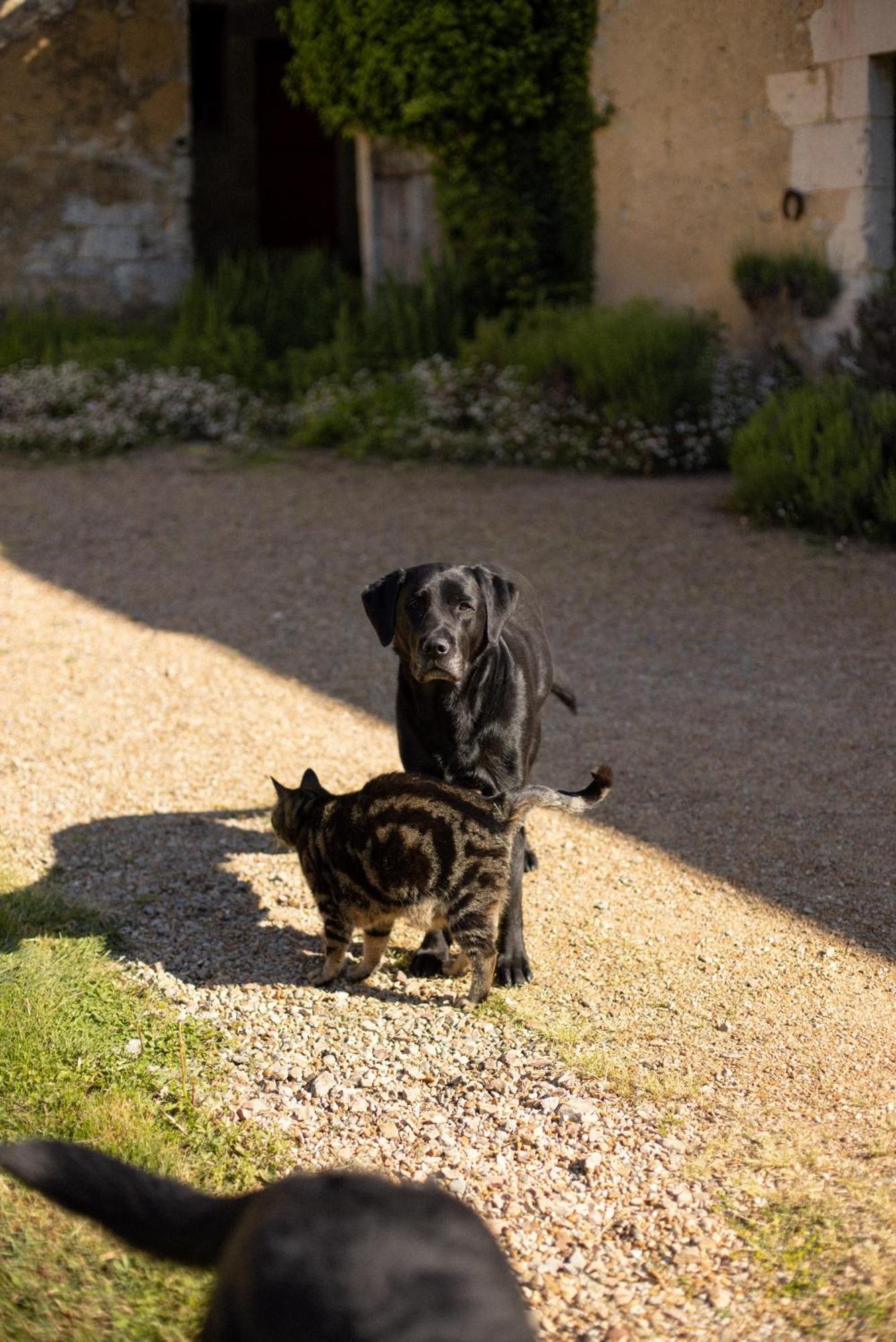Le Manoir Du Plessis Hotel Dance  ภายนอก รูปภาพ